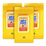 Wet Ones for Pets Multi-Purpose Dog Wipes with Aloe Vera, 100 Count - 3 Pack | Dog Wipes for All Dogs in Tropical Splash, Wet Ones Wipes for Dog Paws & All Over Use