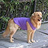 2018 Pet Clothes Dog Clothing Blank T-Shirt Tanks Top Vests for Small Middle Large Size Dogs 100% Cotton Dog Summer Vest Classic (XXL, Purple)