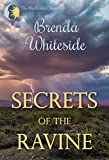 Secrets of the Ravine (The MacKenzie Chronicles Book 1)