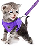 FEimaX No Pull Small Cat Harness and Leash Set, Soft Mesh Puppy Reflective Adjustable Harnesses for Walking Escape Proof Cat Kitten Step-in Breathable Vest Harness