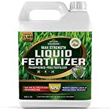 PetraTools 15-0-15 Fertilizer for Green Grass, Liquid Grass Fertilizer, Nitrogen Fertilizer for Lawns, Grass Food for Green Lawn, Lawn Nitrogen Fertilizer for Plants, Lawn Repair Formula (1Gal)