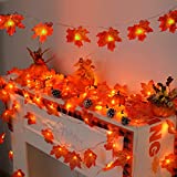 YEGUO Thanksgiving Decorations Lighted Fall Garland, 2 Pack Maple Leaves String Lights Battery Operated Total 20 Ft 40 LED Fall Lights for Indoor Outdoor Holiday Autumn Home Party Halloween Decor