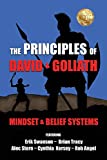The Principles of David and Goliath Volume 1: Mindset & Belief Systems