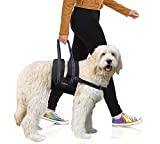 Labra Veterinarian Approved Dog Canine K9 Sling Assist with Chest Strap Adjustable Reflective Straps Support Harness Helps with Loss of Stability Joint Injuries Arthritis ACL Rehabilitation Rehab