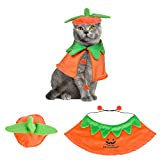 ADOGGYGO Halloween Dog Cat Costumes Dog Halloween Pumpkin Cloak Hat Set Pet Halloween Costumes for Cats Small Medium Dogs (Small, Pumpkin)