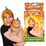 Archie McPhee Loving Friends Kitty Cuddle Costumes, Pumpkin Pals pet Apparel, 8"