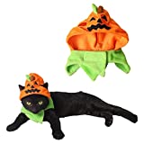 Orgrimmar Halloween Pumpkin Cat Hat Cat Cosplay Costume Cap Kitty Cat Collar Costume