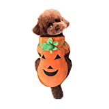 Mogoko Dog Cat Halloween Pumpkin Costume,Pet Cosplay Costumes,Puppy Warm Outfits Fleece Hoodie Animal Autumn Winter Clothes (M Size)