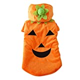 yolsun Pet Dog Cat Fleece Halloween Pumpkin Costume (M)