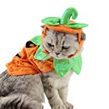 POPETPOP Cat Pumpkin Costume-Halloween Cat Costume Suits Clothes Hatdress Headbands Festival Pumpkin Costumes for Dogs Cats