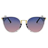 FEISEDY Women Chic Polarized Cat Eye Sunglasses Vintage Oversized Round Sunglasses Anti Glare B7000