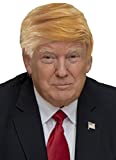 Funny Donald Trump Wig For Adults Kids Trumps MAGA President Hair Costume Wigs