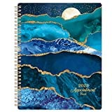2023 Weekly Appointment Book & Planner - 2023 Planner, Daily Hourly Planner, Jan 2023 - Dec 2023, 8" x 10", Half Hour (30 Mins) Interval, Monthly Tabs, with Weekly & Monthly Pages, Twin-Wire Binding, Lay-Flat