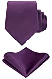 TIE G Solid Satin Color Formal Necktie and Pocket Square Sets in Gift Box (Plum)