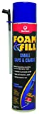 Red Devil 0920 Foam & Fill Small Gaps & Cracks Expanding Polyurethane Sealant, 20 oz, Off-White, Pack of 1