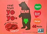 Bear Real Fruit Snack Rolls, Strawberry & Raspberry Variety Pack, 48 Roll (24pk, 2 rolls per Pack), Packaged with Bryant Desai Supplies Pen