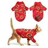 Vehomy Dog Cat Halloween Sweater Dog Halloween Costume Pet Halloween Turtleneck Sweater Clothes Pet Pumpkin Pullover Knitwear Warm Halloween Cat Pumpkin Sweater S