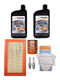 Generac 0J93220SSM Maintenance Kit w/ 5W-30 Synthetic Oil