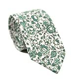 DAZI Men's Skinny Tie Floral Print Cotton Necktie, Great for Weddings, Groom, Groomsmen, Missions, Dances, Gifts. (Hidden Garden)