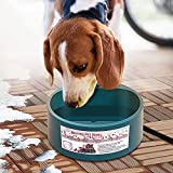 Heated Water Bowl for Outdoor Cats Dogs 2.2L Heated Waterer for Chickens, Rabbits, Squirrels Provides Drinkable Water in Winter Outside Heated Dog Bowl Thermal-Bowl for Bird Bath