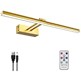 FUNCHDAY Picture Light,5000mAh Battery Operated Picture Light for Wall,Wireless Remote Painting Light with Timer and Dimmable,16Metal Art Light for Display,Artwork,Portrait,Gallery-Gold