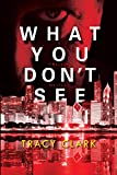 What You Don't See (A Chicago Mystery)