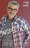 Inspection: A Silver Fox Romance (Brady Family Book 3)