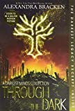 Through the Dark (Bonus Content) (A Darkest Minds Collection) (Darkest Minds Novel, A)