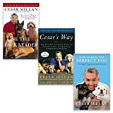 Cesar Milan 3 Books Collection Set (How to Raise the Perfect Dog, Cesar's Way: Everyday Guide to Understanding & Correcting Common Dog Problems & Be the Pack Leader)