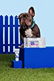 Squishface Wrinkle Paste (2oz) & 5x7 Wipes Bundle - Clean Wrinkles, Tear Stains, Tail Pockets, Paws  Anti-Itch, Deodorizing - Great for English Bulldogs, Pugs, Frenchies, French Bulldogs & Any Breed