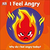 I Feel Angry: Why do I feel angry today? (First Emotions)