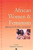 African Women and Feminism: Reflecting on the Politics of Sisterhood