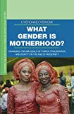 What Gender is Motherhood?: Changing Yorb Ideals of Power, Procreation, and Identity in the Age of Modernity (Gender and Cultural Studies in Africa and the Diaspora)