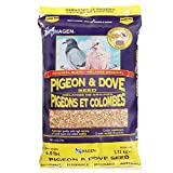 Hagen Pigeon & Dove Seed, Nutritionally Complete Bird Food, original version, 6 Pound (Pack of 1) (B2704)