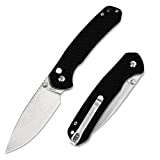 CJRB Folding Knife Pyrite (J1925) AR-RPM9 Blade and G10 Handle EDC Pocket Knife with Clip Black