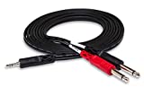 Hosa CMP-153 3.5 mm TRS to Dual 1/4" TS Stereo Breakout Cable, 3 Feet, Laptop
