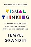 Visual Thinking: The Hidden Gifts of People Who Think in Pictures, Patterns, and Abstractions