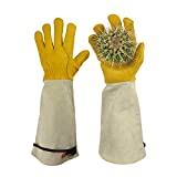 GLOSAV Gardening Gloves Thorn Proof for Rose Pruning & Cactus Trimming, Long Leather Garden Gloves for Women & Men (Medium)