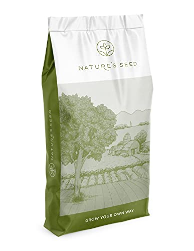 Kentucky Bluegrass Pasture Seed (50 LBS)