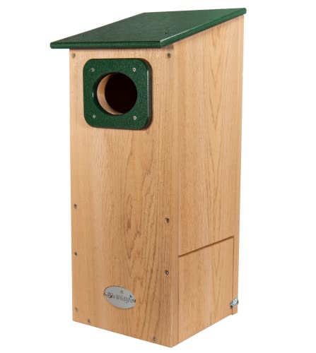 JCs Wildlife Cedar Wood Duck Nesting Box with Poly Lumber Roof - Mount in or at The Water's Edge to Attract Wood Ducks Nearby - Equipped with Clean Out Door and Drainage Holes (Green)
