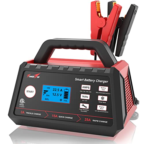 TowerTop 2/15/25 Amp Car Battery Charger, 6V/12V Fully Automatic Smart Battery Maintainer with Engine Start, Auto Desulfator, Battery Recondition, Winter Mode, for All Lead-Acid and LiFePO4 Batteries