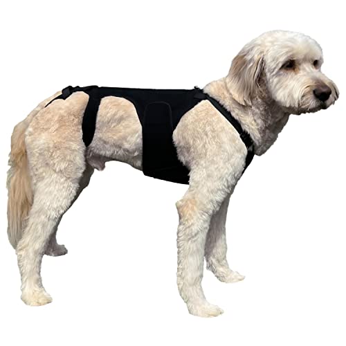 Labra Dog Canine K9 Back Brace - IVDD Spine Pain & Spinal Injury, Arthritis, Bulging Discs Brace for Corgis, Dachshund, Post Surgery Recovery, Rehab, Inflammation - Medium