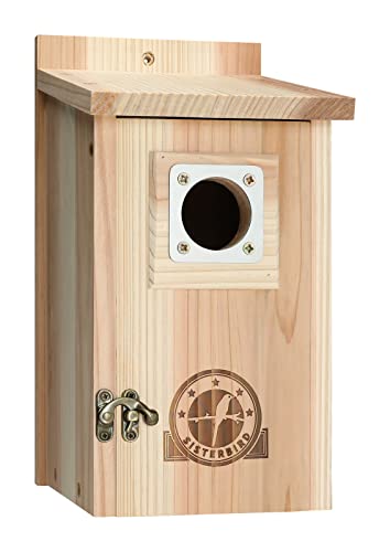 SISTERBIRD Bird Houses for Outside, Cedar Birdhouse, Bluebird Houses, Wooden Birdhouses with Metal Guard for Outdoor, Blue Bird House for Outside Clearance, Open House, Nesting Box, Assembly Required