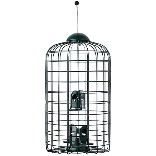 More Birds Squirrel-X Bird Feeder, Cage Tube Feeder Keeps Squirrels Out, 4 Feeding Ports, 1.5 lb Seed Capacity