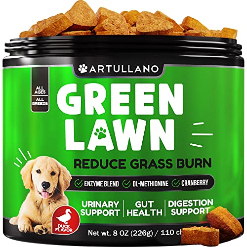 Grass Burn Spot Chews for Dogs - Dog Pee Lawn Spot Saver Caused by Dog Urine - Grass Treatment Rocks - Cranberry + Digestive Enzymes - Dog Urine Neutralizer for Lawn