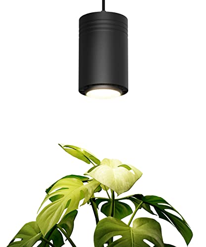 Aspect Large Black Luxury LED Grow Light  for Medium and Large Plants New Large White Luxury LED Grow Light  for Medium and Large Plants