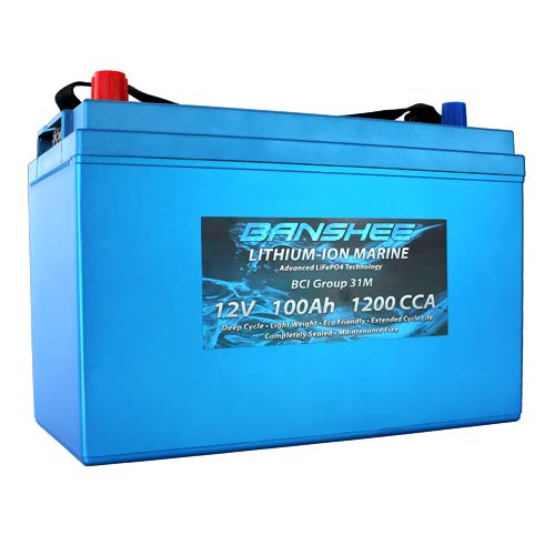 Banshee LiFeP04 Deep Cycle Battery 100Ah 12V With Built-In BMS - Perfect for RV Camper, Marine, Trolling