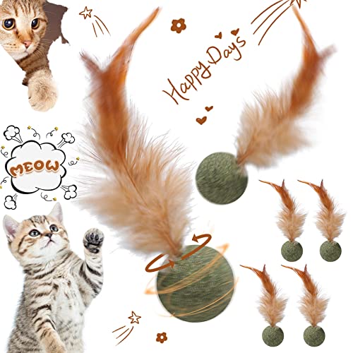 HyDren 6 Pcs Interactive Cat Toy Catnip Feather Ball Compressed Natural Catnip Lollipop Natural Cat Kicker with Feathers for Cat Kitty