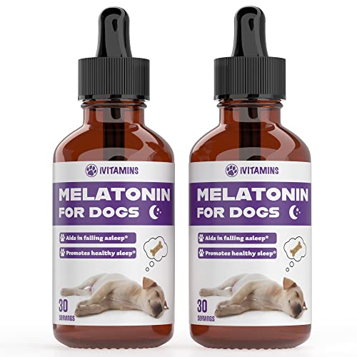 Melatonin for Dogs | Dog Melatonin | Melatonin for Dogs Sleep | Sleep Aid for Dogs | Dog Sleep Aid | Dog Calming | Calming for Dogs | Dog Calming Treats | Dog Anxiety Relief | 2 Pack: 60 Servings