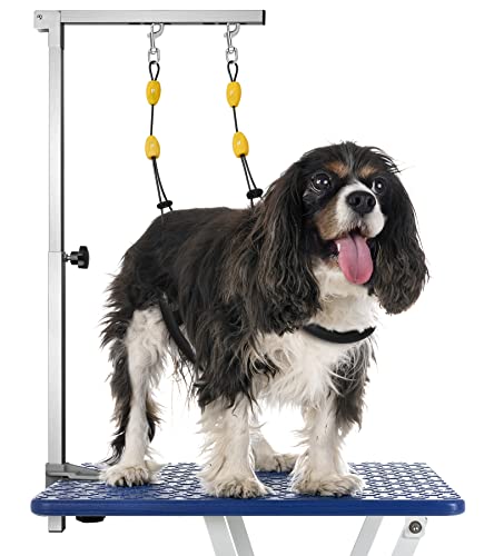 Petbobi Dog Grooming Arm with Clamp, 36 Inch Dog Grooming Stand with Dual No Sit Haunch Holder, Loop Noose, Grooming Table Arm for Small Medium Dogs at Home